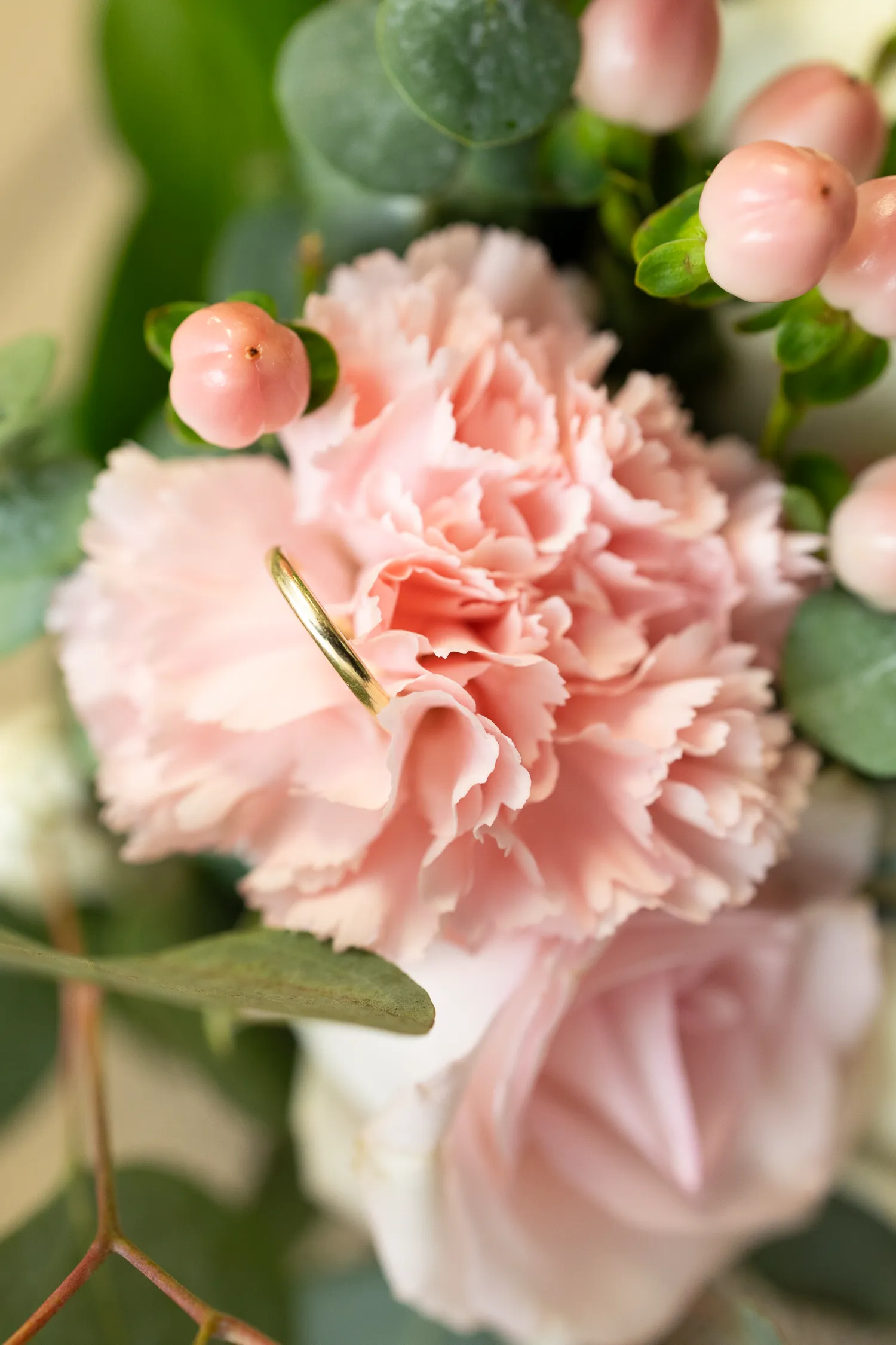 A close-up of a pink carnation flower with a gold ring nestled among green leaves and soft pink berries.